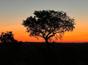 WhatsApp Image 2024-05-27 at 17.17.09 (1)