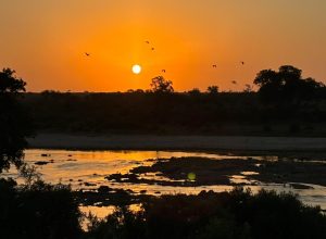 WhatsApp Image 2024-05-27 at 17.17.09