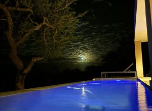 WhatsApp Image 2024-05-27 at 17.17.10 (1)