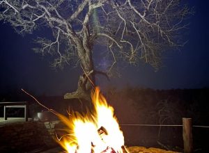 WhatsApp Image 2024-05-27 at 17.17.10